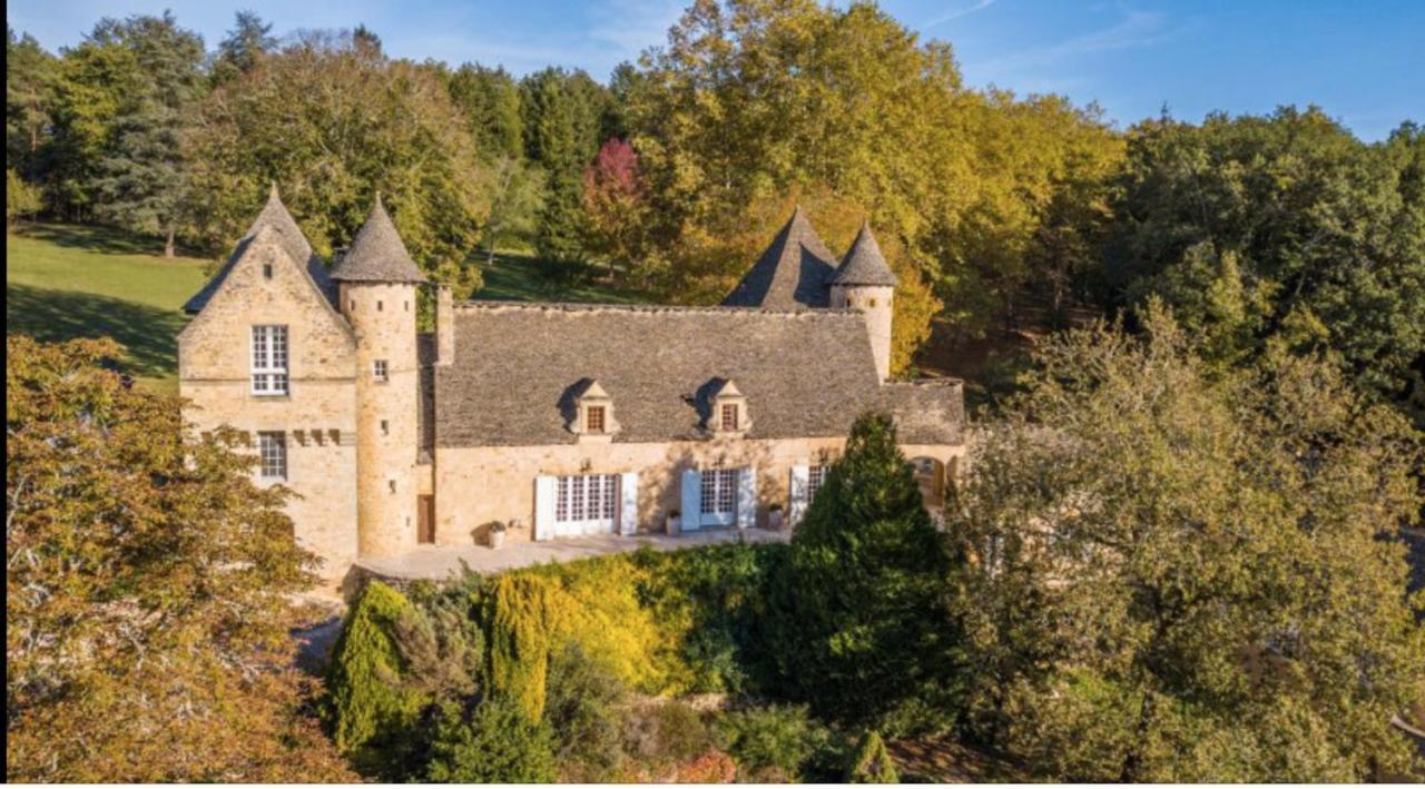 Chateau La Carriere Saint-Cyprien  Eksteriør billede